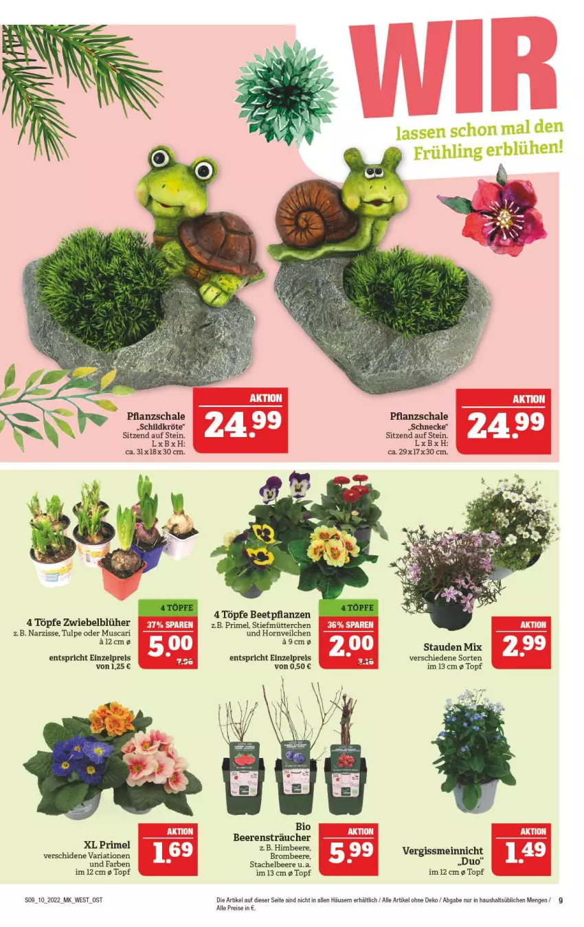 Aktueller Prospekt Marktkauf - Prospekt - von 06.03 bis 12.03.2022 - strona 9 - produkty: beere, beeren, beetpflanzen, bio, brombeere, eis, pflanze, pflanzen, reis, Ria, Schal, Schale, stauden, Ti, topf, zwiebel