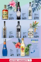 Gazetka promocyjna Selgros - Food - Gazetka - ważna od 14.08 do 14.08.2024 - strona 21 - produkty: alkohol, angebot, angebote, Beluga, bio, eis, eiswürfel, flasche, Havana Club, limette, limo, limonade, liqueur, mango, Mett, minze, reis, Three Sixty, Ti, vodka, wodka, würfel, zitrone, zitronen