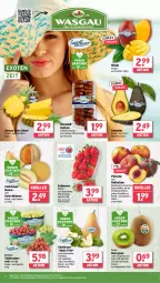 Gazetka promocyjna Wasgau - Gazetka - ważna od 15.06 do 15.06.2024 - strona 8 - produkty: ananas, angebot, avocado, avocados, ball, beere, beeren, Birnen, Calcium, Datteln, eis, Elan, erdbeere, erdbeeren, fleisch, frucht, früchte, fruchtfleisch, Galia-melone, karamell, kiwi, mango, melone, melonen, Nektar, nektarinen, pfirsich, pfirsiche, pfirsiche oder, reis, Schal, Schale, tafelbirnen, tafeltrauben, Ti, trauben, zespri