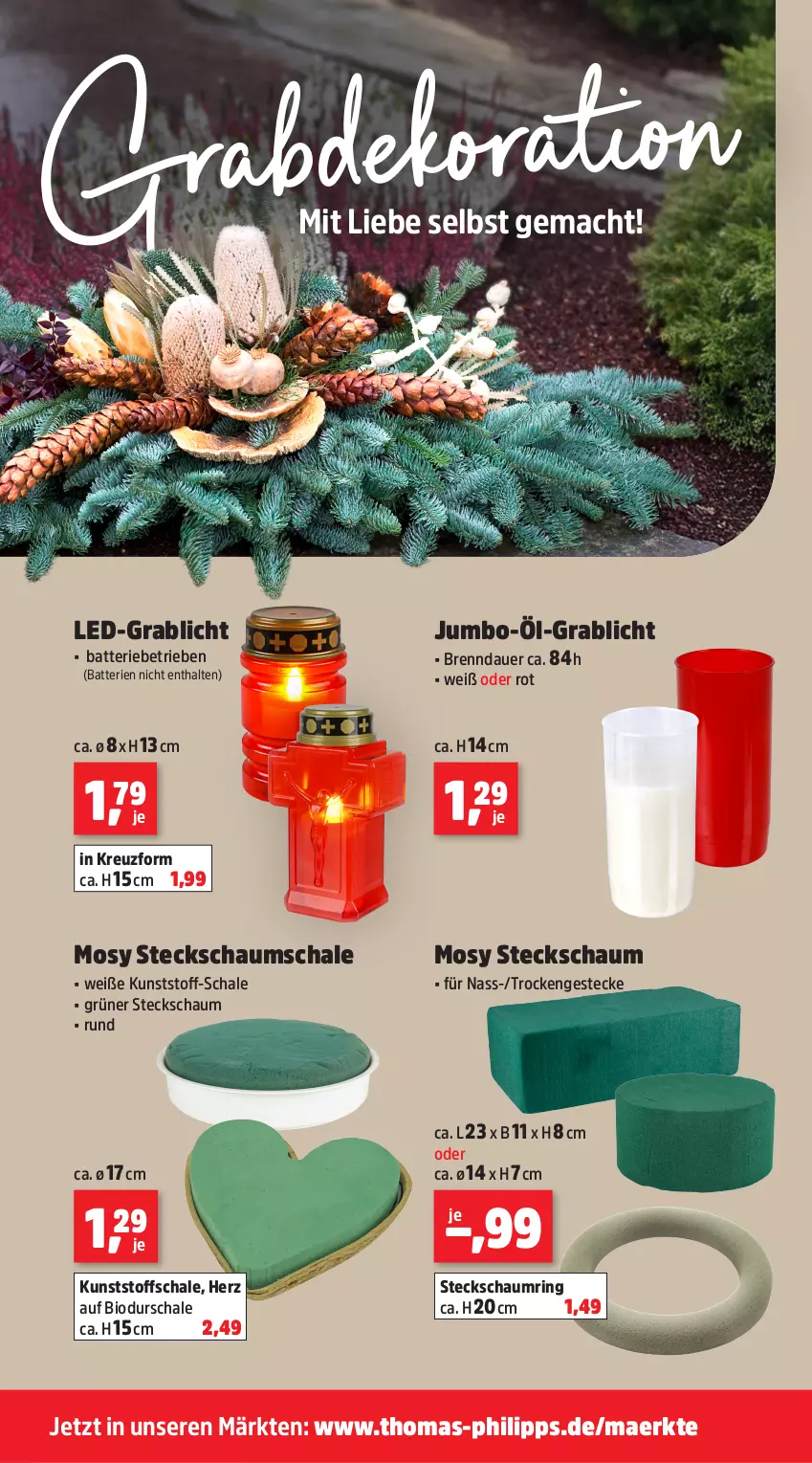 Aktueller Prospekt Thomas Philipps - von 20.10 bis 25.10.2025 - strona 10 - produkty: auer, batterie, batterien, bio, jumbo, mac, ring, Schal, Schale, Steckschaum, Ti