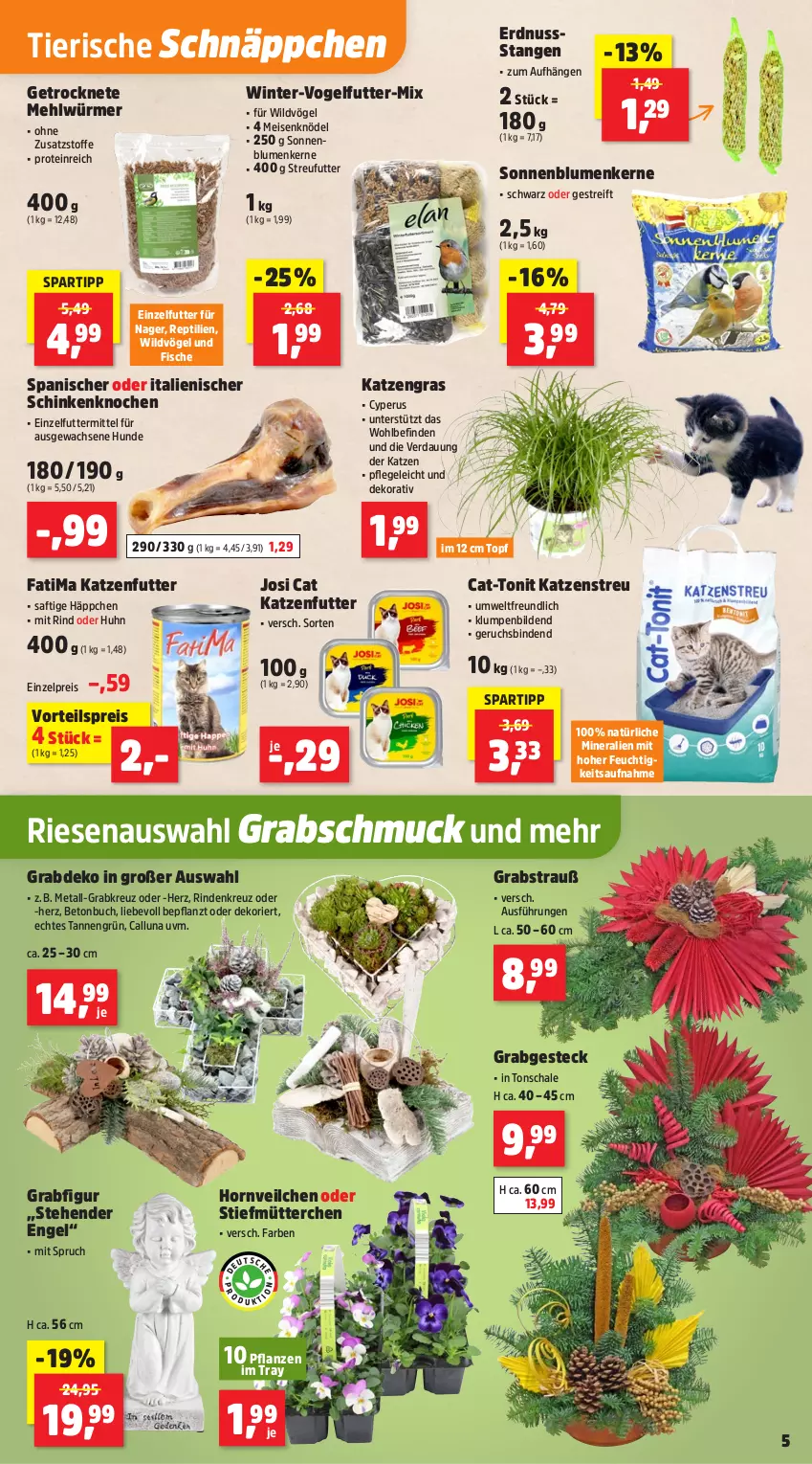 Aktueller Prospekt Thomas Philipps - von 20.10 bis 25.10.2025 - strona 9 - produkty: binden, blume, blumen, buch, eis, Engel, erdnuss, fisch, fische, katzenfutter, Katzenstreu, Knödel, mehl, Meisenknödel, nuss, pflanze, pflanzen, reis, rind, saft, Schal, Schale, schinken, Schmuck, schnäppchen, sonnenblume, sonnenblumen, Sonnenblumenkerne, spartipp, Streufutter, Ti, topf, Vogelfutter, vorteilspreis, Wild