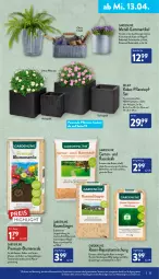 Gazetka promocyjna Aldi Nord - Aldi-Vorschau - Gazetka - ważna od 16.04 do 16.04.2022 - strona 33 - produkty: beutel, blume, blumen, blumenerde, dünger, eis, erde, Garten, Gartenpflanze, gin, Holz, laterne, pflanze, pflanzen, Pflanztopf, rasen, rasendünger, reis, Ti, topf, Topfset, wasser, ZTE