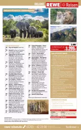 Gazetka promocyjna Rewe Reisen - Reiseprospekt - Gazetka - ważna od 25.08 do 25.08.2023 - strona 13 - produkty: amaro, asti, aust, bosch, buch, deutschsprachige reiseleitung, eis, Elefant, elle, erde, Garten, Heu, inklusivleistungen, krüger, likör, mandel, natur, rama, reis, reiseverlauf, rel, Ria, rwe, sim, simba, Ti, Tiere, uhr, wasser, wein, Wild, Yo