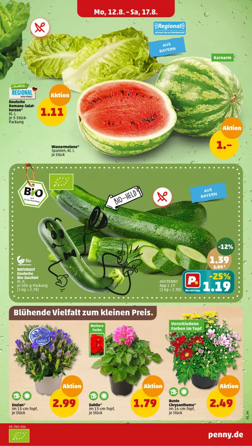 Aktueller Prospekt Penny - Prospekte - von 12.08 bis 17.08.2024 - strona 3 - produkty: dahlie, melone, salat, topf, wasser, wassermelone