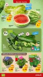Gazetka promocyjna Penny - Prospekte - Gazetka - ważna od 17.08 do 17.08.2024 - strona 3 - produkty: dahlie, melone, salat, topf, wasser, wassermelone