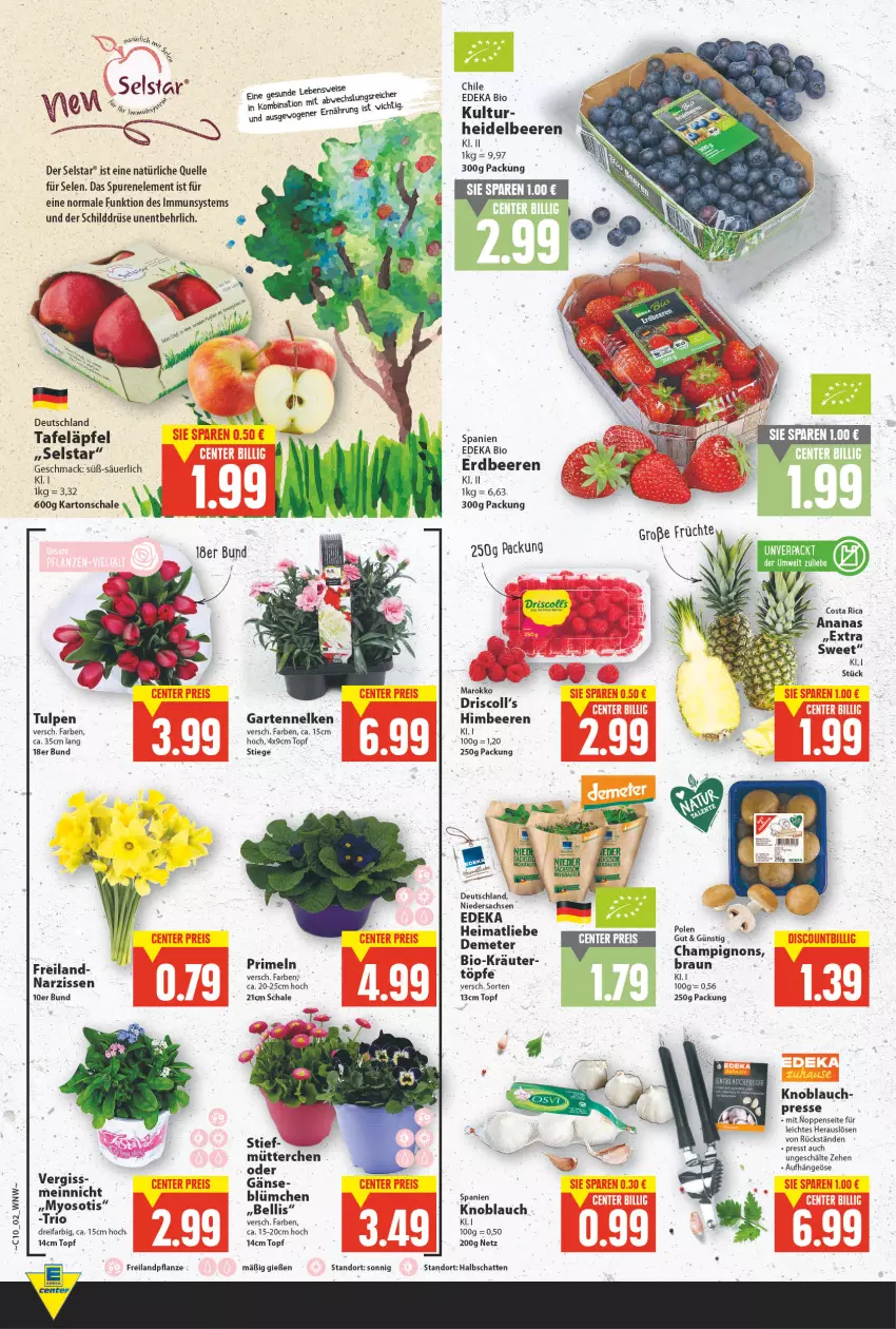 Aktueller Prospekt E Center - Angebote der Woche - von 07.03 bis 12.03.2022 - strona 2 - produkty: ananas, beere, beeren, bio, braun, champignon, champignons, deka, edeka bio, eis, elle, erdbeere, erdbeeren, Garten, gartennelke, heidelbeere, heidelbeeren, himbeer, himbeere, himbeeren, knoblauch, mac, Narzissen, pflanze, Primeln, sac, Schal, Schale, tafeläpfel, Ti, topf, wurst, Yo