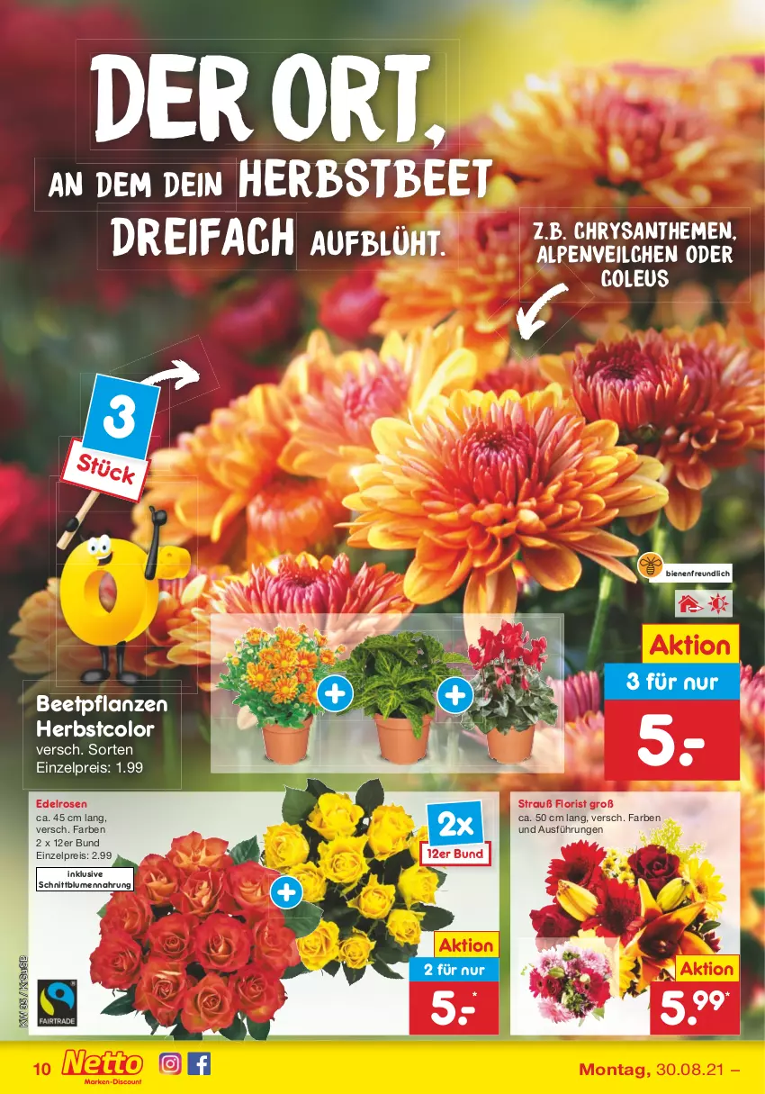 Aktueller Prospekt Netto Marken-Discount - Filial Angebote - von 30.08 bis 04.09.2021 - strona 10