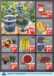 Gazetka promocyjna Edeka - Prospekte - Gazetka - ważna od 02.08 do 02.08.2025 - strona 8 - produkty: apfel, beere, beeren, deka, eis, grana, granatapfel, granatapfelkerne, heidelbeere, heidelbeeren, hortensie, hortensien, kirsch, kirsche, kirschen, melone, paraguayos, payback, Rana, reis, tee, tesa, Ti, topf, Yo, ZTE
