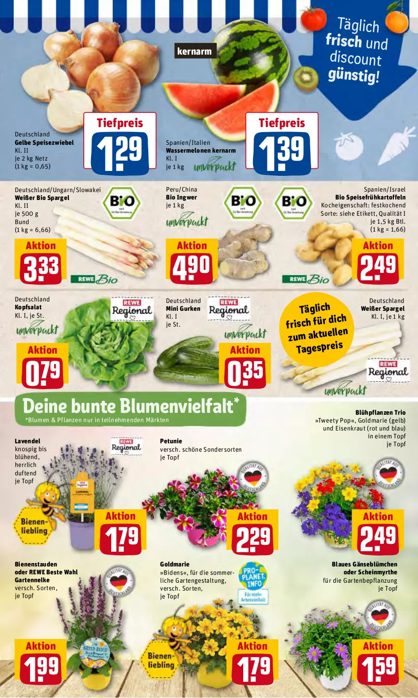 Aktueller Prospekt Rewe - Prospekte - von 07.06 bis 13.06.2022 - strona 3 - produkty: bio, blume, blumen, discount, eis, Frühkartoffeln, Garten, gartennelke, goldmarie, gurke, gurken, HP, ingwer, kartoffel, kartoffeln, kopfsalat, Kraut, lavendel, melone, melonen, merl, petunie, pflanze, pflanzen, reis, rewe beste wahl, salat, spargel, speisefrühkartoffeln, stauden, Ti, tiefpreis, topf, wasser, wassermelone, wassermelonen, zwiebel