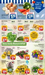 Gazetka promocyjna Rewe - Prospekte - Gazetka - ważna od 13.06 do 13.06.2022 - strona 3 - produkty: bio, blume, blumen, discount, eis, Frühkartoffeln, Garten, gartennelke, goldmarie, gurke, gurken, HP, ingwer, kartoffel, kartoffeln, kopfsalat, Kraut, lavendel, melone, melonen, merl, petunie, pflanze, pflanzen, reis, rewe beste wahl, salat, spargel, speisefrühkartoffeln, stauden, Ti, tiefpreis, topf, wasser, wassermelone, wassermelonen, zwiebel
