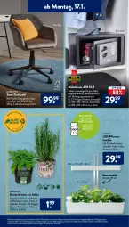 Gazetka promocyjna AldiSud - ALDI Aktuell - Gazetka - ważna od 22.01 do 22.01.2022 - strona 15 - produkty: alle artikel ohne dekoration, batterie, bohne, bohnen, decke, dekoration, drehstuhl, eis, Elektro, elle, gardenline®, gewürz, gin, Kraut, kräuter, latte, Leuchte, möbel, Mode, pflanze, pflanzen, Ria, stuhl, Ti, tisch, ZTE