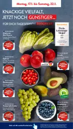 Gazetka promocyjna AldiSud - ALDI Aktuell - Gazetka - ważna od 22.01 do 22.01.2022 - strona 2 - produkty: aldi, avocado, beere, beeren, datteltomaten, eimer, eis, heidelbeere, heidelbeeren, kracher, lebensmittel, natur, Rauch, reis, salat, salatherzen, Ti, tomate, tomaten, trauben, Yo