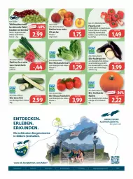 Gazetka promocyjna Feneberg - Prospekte - Gazetka - ważna od 27.08 do 27.08.2022 - strona 5 - produkty: aubergine, auberginen, Bau, bio, bio-zucchini, eier, eis, fleisch, frucht, fruchtfleisch, gin, Kürbis, Lauchzwiebel, lauchzwiebeln, mac, Nektar, nektarinen, nektarinen oder, oder pfirsiche, orange, paprika, paprika rot, pfirsich, pfirsiche, radieschen, Rauch, reis, rwe, Schal, Schale, strauchtomaten, tafeltrauben, Ti, tomate, tomaten, trauben, vita, zucchini, zwiebel, zwiebeln