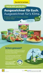 Gazetka promocyjna Lidl - Aktionsprospekt - Gazetka - ważna od 30.07 do 30.07.2022 - strona 56 - produkty: auer, decke, erde, ndk, pflanze, pflanzen, rwe, sac, Schal, Schale, Sport, Ti