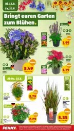 Gazetka promocyjna Penny - Prospekte - Gazetka - ważna od 20.08 do 20.08.2022 - strona 22 - produkty: Rauch, stauden