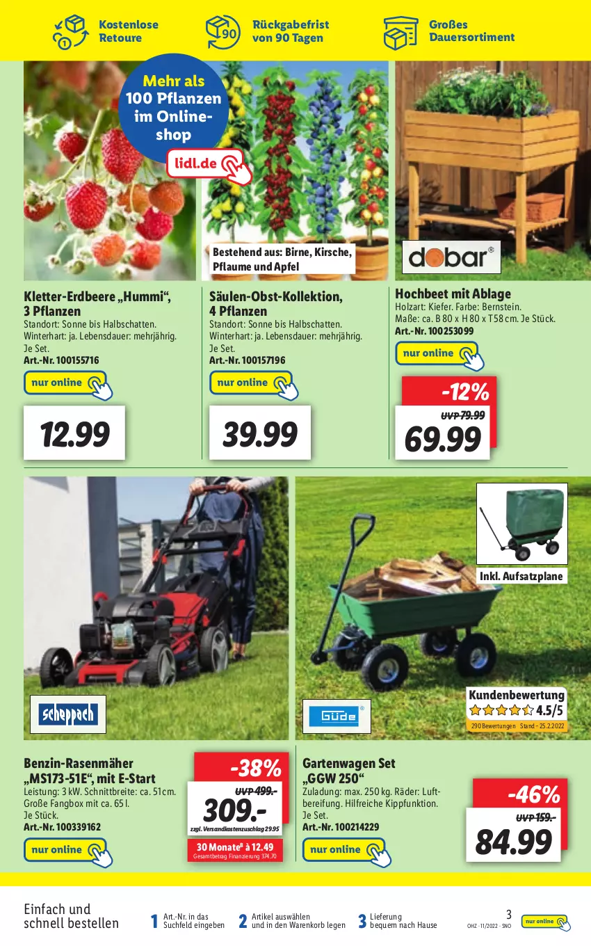 Aktueller Prospekt Lidl - Aktionsprospekt - von 14.03 bis 19.03.2022 - strona 45 - produkty: apfel, auer, beere, Brei, eis, elle, erdbeere, Garten, Holz, kirsch, kirsche, korb, ndk, obst, pflanze, pflanzen, pflaume, rasen, rasenmäher, Ti