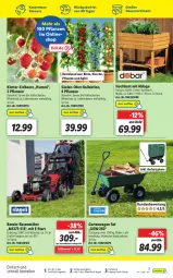 Gazetka promocyjna Lidl - Aktionsprospekt - Gazetka - ważna od 19.03 do 19.03.2022 - strona 45 - produkty: apfel, auer, beere, Brei, eis, elle, erdbeere, Garten, Holz, kirsch, kirsche, korb, ndk, obst, pflanze, pflanzen, pflaume, rasen, rasenmäher, Ti