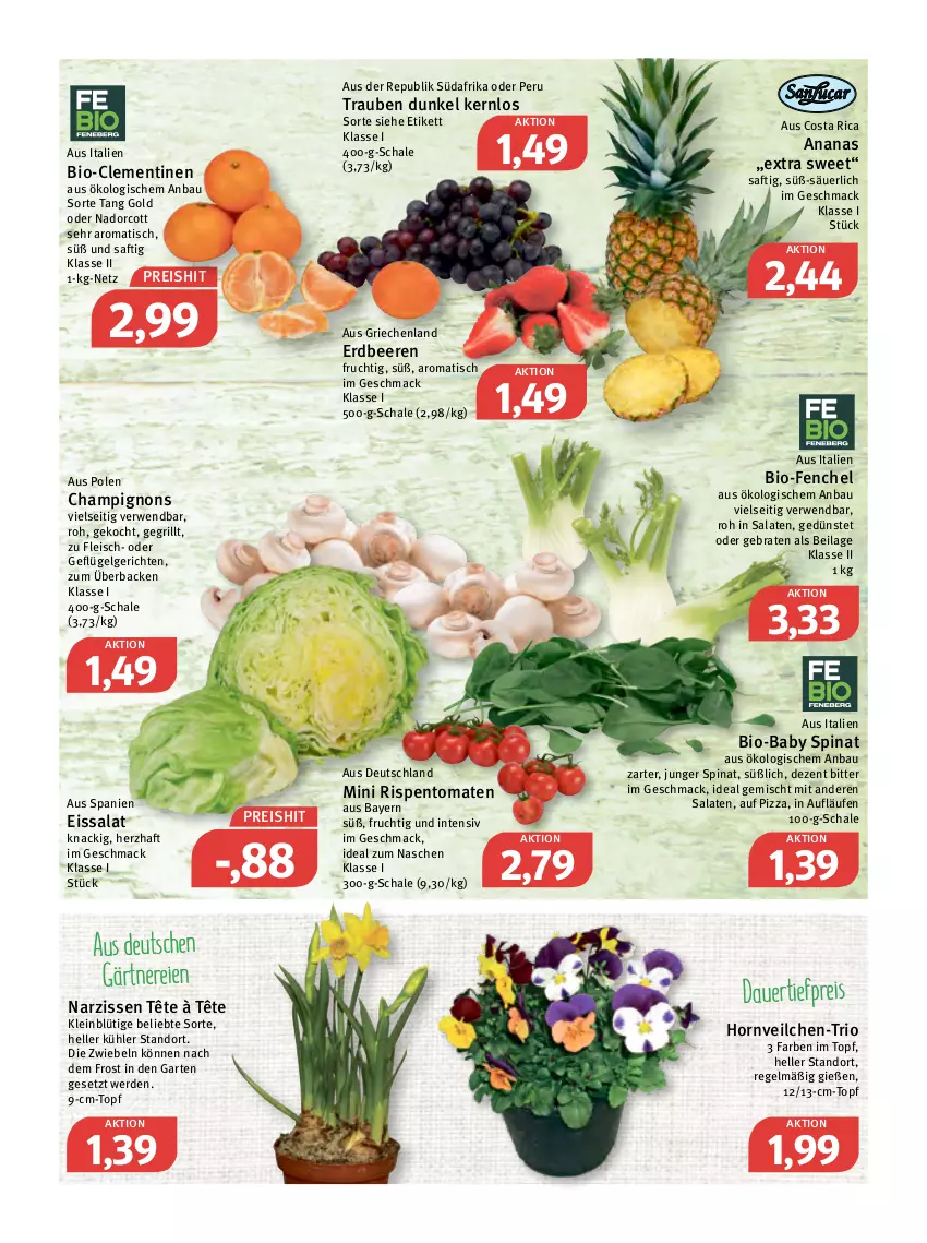 Aktueller Prospekt Feneberg - Prospekte - von 17.03 bis 19.03.2022 - strona 6 - produkty: ananas, auer, Bau, beere, beeren, bio, braten, champignon, champignons, clementinen, dauertiefpreis, eis, elle, erdbeere, erdbeeren, erde, fenchel, fleisch, frucht, Garten, Geflügel, grill, ilag, LG, mac, Narzissen, pizza, reis, rispentomaten, rwe, saft, salat, salate, Schal, Schale, spinat, Ti, tiefpreis, tisch, tomate, tomaten, topf, trauben, zwiebel, zwiebeln