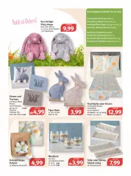 Gazetka promocyjna Feneberg - Prospekte - Gazetka - ważna od 19.03 do 19.03.2022 - strona 17 - produkty: angebot, angebote, Anhänger, blume, blumen, braun, buch, chloe, Diesel, eis, elle, emmi, Holz, kissen, Läufer, leine, Ofen, Plüsch, tablet, tablett, teller, Ti, tisch, tischläufer, Tischset, windlicht