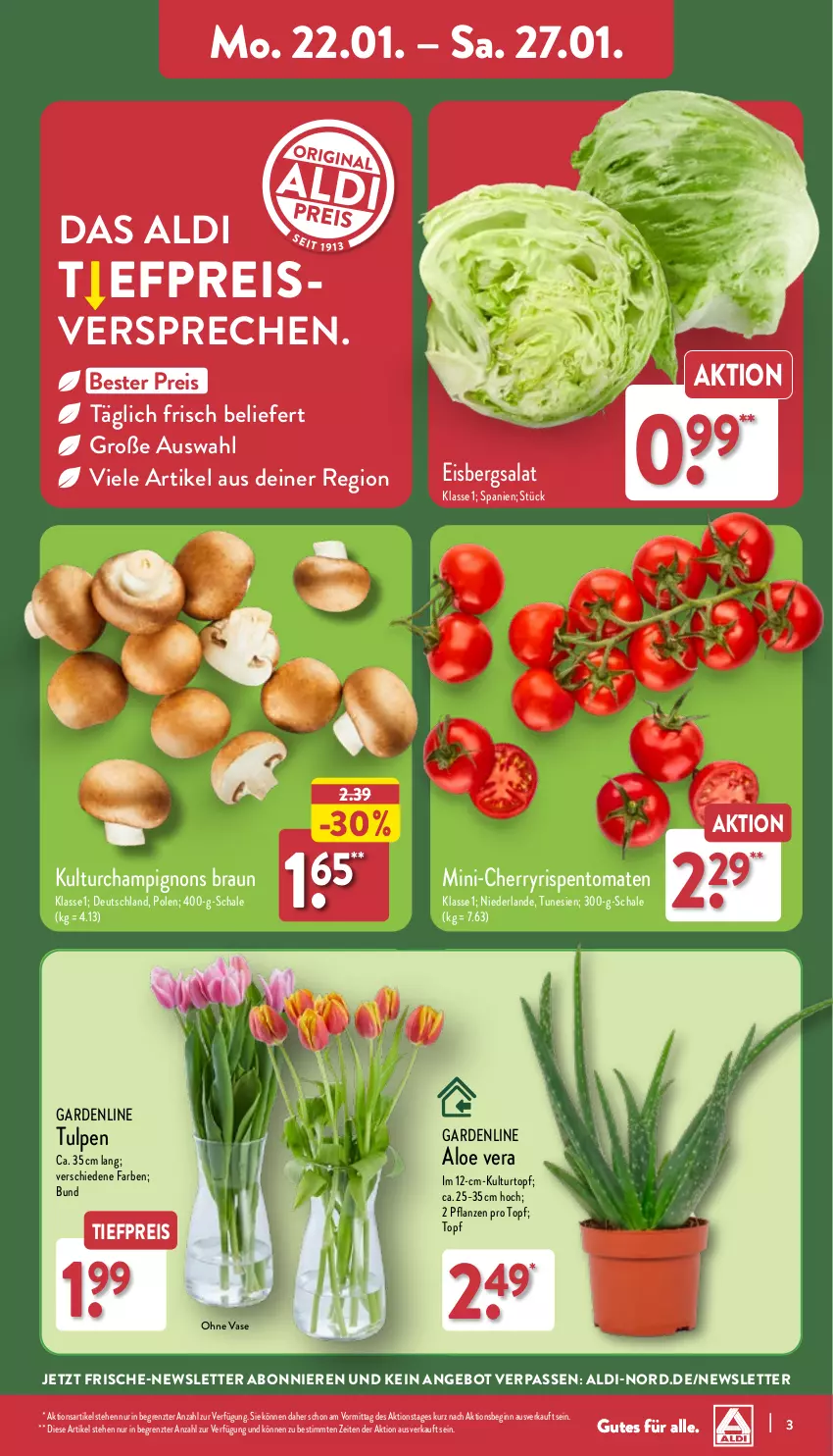 Aktueller Prospekt Aldi Nord - Von Montag - von 22.01 bis 27.01.2024 - strona 3 - produkty: aldi, angebot, Blüte, braun, Brei, champignon, champignons, champignons braun, eis, eisbergsalat, gin, kulturtopf, pflanze, pflanzen, reis, rispentomaten, salat, Schal, Schale, Ti, tiefpreis, tomate, tomaten, topf, Vase, ZTE