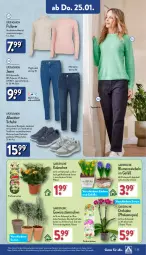 Gazetka promocyjna Aldi Nord - Von Montag - Gazetka - ważna od 27.01 do 27.01.2024 - strona 25 - produkty: aldi, Bau, baumwolle, bett, blume, blumen, Blüte, Brei, decksohle, eis, erde, gewürz, jeans, Kalanchoe, kulturtopf, orchidee, pflanze, phalaenopsis, Pullover, Ria, rind, rindenmulch, rwe, schuhe, Ti, topf, übertopf, up2fashion, wolle, zwiebel, zwiebeln