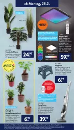 Gazetka promocyjna AldiSud - ALDI Aktuell - Gazetka - ważna od 05.03 do 05.03.2022 - strona 15 - produkty: angebot, batterie, batterien, casa deco, decke, dell, eis, elle, fernbedienung, Fotokalender, Grünpflanzen, gutschein, klapptritt, korb, Kunstpflanze, laminat, Läufer, LG, maille, Mode, monster, Monstera, natur, ndk, Paw Patrol, pflanze, pflanzen, reis, ring, tasse, teppich, teppiche, Ti, topf, tragegriff