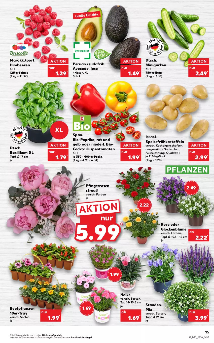 Aktueller Prospekt Kaufland - von 02.06 bis 08.06.2022 - strona 19 - produkty: angebot, angebote, avocado, basilikum, beere, beeren, beetpflanzen, bio, Bio-Paprika, blume, cocktail, eis, Frühkartoffeln, gurke, gurken, himbeer, himbeere, himbeeren, kartoffel, kartoffeln, paprika, Pfingstrosen, pflanze, pflanzen, rispentomaten, rosen, sac, Schal, Schale, speisefrühkartoffeln, stauden, Ti, tomate, tomaten, topf