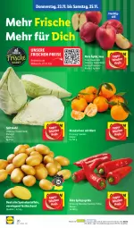 Gazetka promocyjna Lidl - Aktionsprospekt - Gazetka - ważna od 25.11 do 25.11.2023 - strona 24 - produkty: eis, frucht, kartoffel, kartoffeln, mandarine, mandarinen, ndk, paprika, reis, Schal, Schale, speisekartoffeln, spitzkohl, Spitzpaprika, Ti