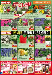 Gazetka promocyjna Norma - Norma - Gazetka - ważna od 20.06 do 20.06.2022 - strona 12 - produkty: ball, banane, barbecue, beere, blume, blumen, Blüte, Cashew, cashewkerne, cosmea, flasche, grill, gurke, knoblauch, kulturtopf, Kürbis, kürbiskerne, lavendel, lion, Lobelie, löwenmaul, milch, nuss, orange, paprika, petunie, petunien, pflanze, pflanzen, Physalis, Salsa, sauce, schoko, schokolade, snack, Ti, tomate, topf, Trinkhalme, übertopf, vanille, vita, zucchini