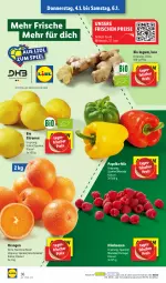 Gazetka promocyjna Lidl - Aktionsprospekt - Gazetka - ważna od 06.01 do 06.01.2024 - strona 44 - produkty: beere, beeren, bio, eis, himbeer, himbeere, himbeeren, ingwer, navelina, ndk, orange, orangen, paprika, reis, Schal, Schale, Ti, zitrone, zitronen