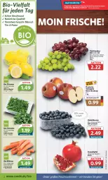 Gazetka promocyjna Combi - Prospekte - Gazetka - ważna od 29.10 do 29.10.2022 - strona 2 - produkty: angebot, angebote, beere, beeren, beutel, bio, feldsalat, grana, Granatäpfel, heidelbeere, heidelbeeren, mac, möhren, natur, Rana, salat, Schal, Schale, tafeläpfel, tafeltrauben, Ti, trauben, zitrone, zitronen