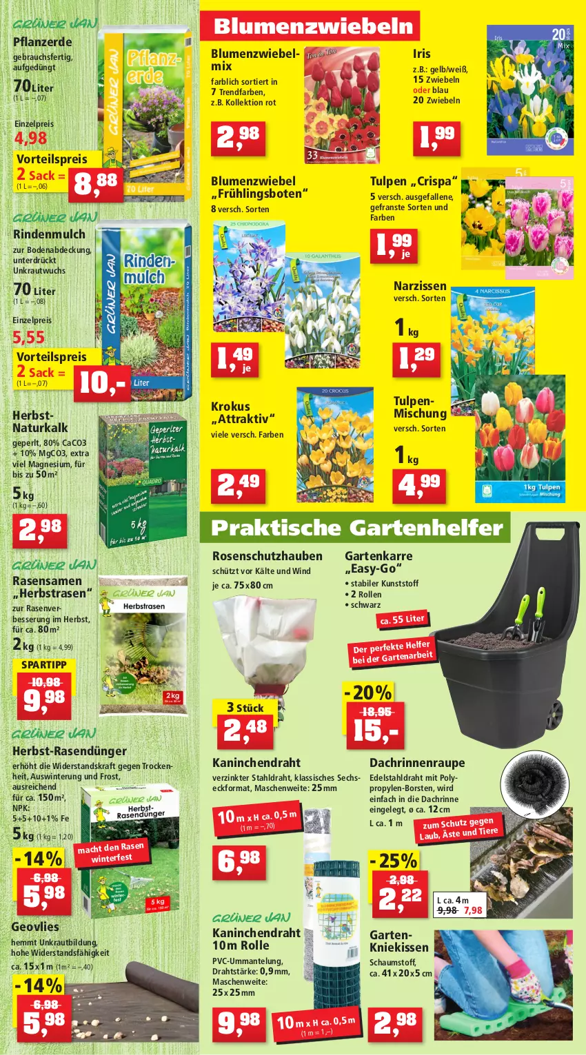 Aktueller Prospekt Thomas Philipps - Prospektwerbung - von 12.09 bis 17.09.2022 - strona 4 - produkty: akku, apfel, Bau, beere, beeren, blume, blumen, Brei, Cap, Draht, dünger, edelstahl, eis, erde, Garten, Kätzchen, kirsch, kirsche, kissen, Kniekissen, kraft, Kranz, Kraut, Kugel, lamm, Leuchte, leuchten, LG, mac, magnesium, Mantel, Narzissen, natur, obst, pflanze, pflanzen, pflanzerde, pflaume, rasen, rasendünger, rasensamen, Rauch, reis, rind, rindenmulch, rosen, sac, spartipp, Ti, Tiere, tisch, topf, vita, vorteilspreis, zwiebel, zwiebeln