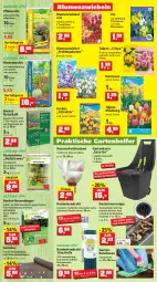 Gazetka promocyjna Thomas Philipps - Prospektwerbung - Gazetka - ważna od 17.09 do 17.09.2022 - strona 4 - produkty: akku, apfel, Bau, beere, beeren, blume, blumen, Brei, Cap, Draht, dünger, edelstahl, eis, erde, Garten, Kätzchen, kirsch, kirsche, kissen, Kniekissen, kraft, Kranz, Kraut, Kugel, lamm, Leuchte, leuchten, LG, mac, magnesium, Mantel, Narzissen, natur, obst, pflanze, pflanzen, pflanzerde, pflaume, rasen, rasendünger, rasensamen, Rauch, reis, rind, rindenmulch, rosen, sac, spartipp, Ti, Tiere, tisch, topf, vita, vorteilspreis, zwiebel, zwiebeln