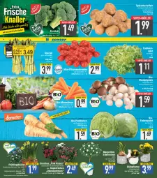 Gazetka promocyjna E Center - Angebote der Woche - Gazetka - ważna od 01.04 do 01.04.2023 - strona 2 - produkty: asti, auer, Becher, beutel, bio, Blüte, braun, brokkoli, champignon, champignons, champignons braun, coupon, deka, eis, eisbergsalat, ente, HP, kartoffel, kartoffeln, Körbchen, möhren, nuss, pflanze, pflanzen, pflaume, pflaumen, reis, salat, spargel, speisekartoffeln, super-knüller, Ti, tomate, tomaten, topf, Yo