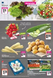 Gazetka promocyjna Edeka - Angebote der Woche - Gazetka - ważna od 11.03 do 11.03.2023 - strona 5 - produkty: ball, champignon, champignons, discount, eis, erde, gurke, gurken, karotten, LG, petersilie, radieschen, reis, sac, salat, Salatgurke, salatgurken, Schal, Schale, stifte, Ti