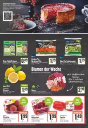 Gazetka promocyjna Edeka - Angebote der Woche - Gazetka - ważna od 23.07 do 23.07.2022 - strona 5 - produkty: angebot, beutel, bio, blume, blumen, deka, eis, ente, fleisch, früchte, karotten, knorr, kuchen, Nektar, nektarinen, paprika, pfirsich, pfirsiche, saft, salat, Schal, Schale, schnitten, stifte, tee, Ti