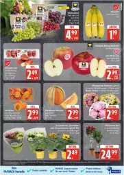 Gazetka promocyjna Edeka - Prospekte - Gazetka - ważna od 31.05 do 31.05.2025 - strona 9 - produkty: aprikose, aprikosen, coupon, coupons, eis, melone, melonen, payback, reis, Ti, ZTE