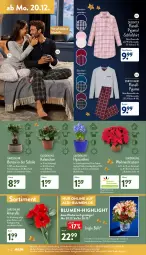 Gazetka promocyjna Aldi Nord - Aldi-Vorschau - Gazetka - ważna od 24.12 do 24.12.2021 - strona 24 - produkty: aldi, aust, Bau, baumwolle, blume, blumen, Blüte, Brei, dell, eis, elle, ente, erde, , Ficus, garnitur, gin, hero, Kalanchoe, kulturtopf, LG, Mode, pflanze, Pyjama, Queentex, reine baumwolle, reis, Ria, Schal, Schale, shirt, tee, Ti, topf, uhr, Weihnachtsstern, wolle, zwiebel