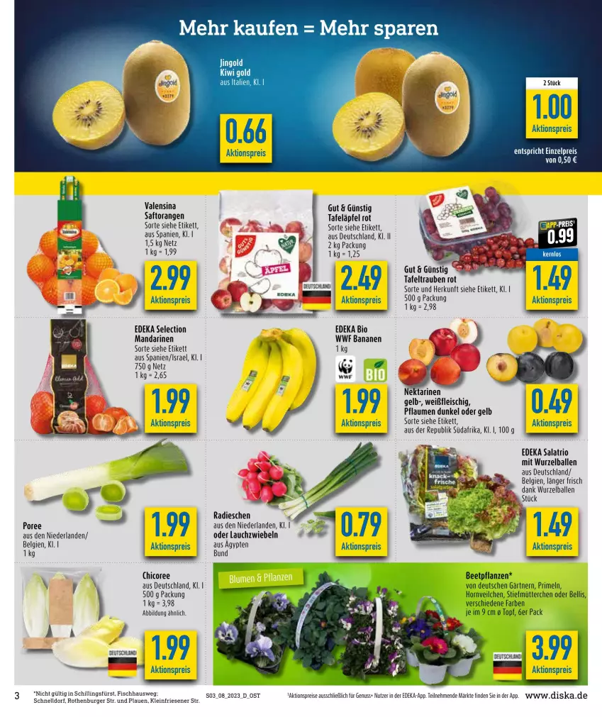 Aktueller Prospekt Diska - Prospekte - von 20.02 bis 25.02.2023 - strona 3 - produkty: aktionspreis, ball, banane, bananen, beetpflanzen, bio, burger, deka, edeka bio, eis, fisch, fleisch, kiwi, Kiwi Gold, Lauchzwiebel, lauchzwiebeln, LG, mandarine, mandarinen, Nektar, nektarinen, nuss, orange, orangen, pflanze, pflanzen, pflaume, pflaumen, Primeln, radieschen, reis, saft, Saftorangen, salat, tafeläpfel, tafeltrauben, Ti, topf, trauben, valensina, zwiebel, zwiebeln