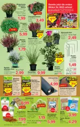 Gazetka promocyjna Jawoll - Prospekte - Gazetka - ważna od 17.09 do 17.09.2022 - strona 4 - produkty: Alpenveilchen, beutel, blume, blumen, blumenerde, Blüte, chrysanthemen, eimer, eis, elle, erde, frucht, Garten, kirsch, Knödel, Kraut, LG, Mantel, mehl, Meisenknödel, nuss, pflanze, pflanzen, pflanzerde, reis, sac, sekt, starlight, Ti, topf, Vogelfutter, zwiebel, zwiebeln