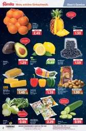 Gazetka promocyjna Famila - Prospekte - Gazetka - ważna od 30.12 do 30.12.2023 - strona 2 - produkty: ananas, avocado, avocados, beere, beeren, beutel, bio, eis, grill, gurke, gurken, heidelbeere, heidelbeeren, kartoffel, kartoffeln, kohlrabi, lebensmittel, mais, obst, orange, orangen, paprika, paprika mix, pfanne, pfannen, Schal, Schale, schnitten, speisekartoffeln, telefon, Ti, zitrone, zitronen