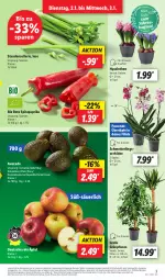 Gazetka promocyjna Lidl - Aktionsprospekt - Gazetka - ważna od 06.01 do 06.01.2024 - strona 3 - produkty: angebot, avocado, Bad, bio, Brei, eis, elle, gin, Mett, orchidee, paprika, pflanze, pflanzen, reis, Schmetterling, schmetterlingsorchidee, Spitzpaprika, stauden, telefon, Ti, topf, ZTE