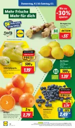 Gazetka promocyjna Lidl - Aktionsprospekt - Gazetka - ważna od 06.01 do 06.01.2024 - strona 44 - produkty: angebot, beere, beeren, bio, coupon, eis, heidelbeere, heidelbeeren, ingwer, navelina, ndk, orange, orangen, paprika, reis, Schal, Schale, Spitzpaprika, Ti, zitrone, zitronen