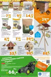 Gazetka promocyjna  - Gazetka - ważna od 21.09 do 21.09.2024 - strona 20 - produkty: angebot, beutel, blume, blumen, braun, Brei, eimer, eis, elle, erdnuss, globus fachmärkte, Holz, HP, Kette, Knödel, korb, Meisenknödel, nerf, nuss, pavillon, reis, ring, sac, sonnenblume, sonnenblumen, Sonnenblumenkerne, sonnenblumenkernen, Streufutter, Ti, Vogelfutter, Wild