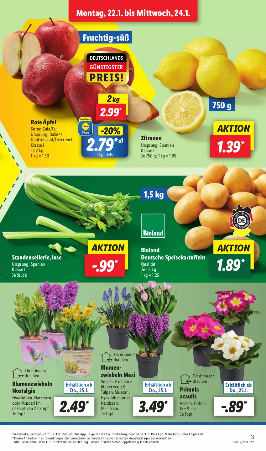 Aktueller Prospekt Lidl - Aktionsprospekt - von 22.01 bis 27.01.2024 - strona 3 - produkty: angebot, bio, bioland, blume, blumen, coupon, eis, elle, frucht, kartoffel, kartoffeln, LG, Narzissen, pflanze, pflanzen, reis, speisekartoffeln, stauden, Ti, topf, zitrone, zitronen, ZTE, zwiebel, zwiebeln