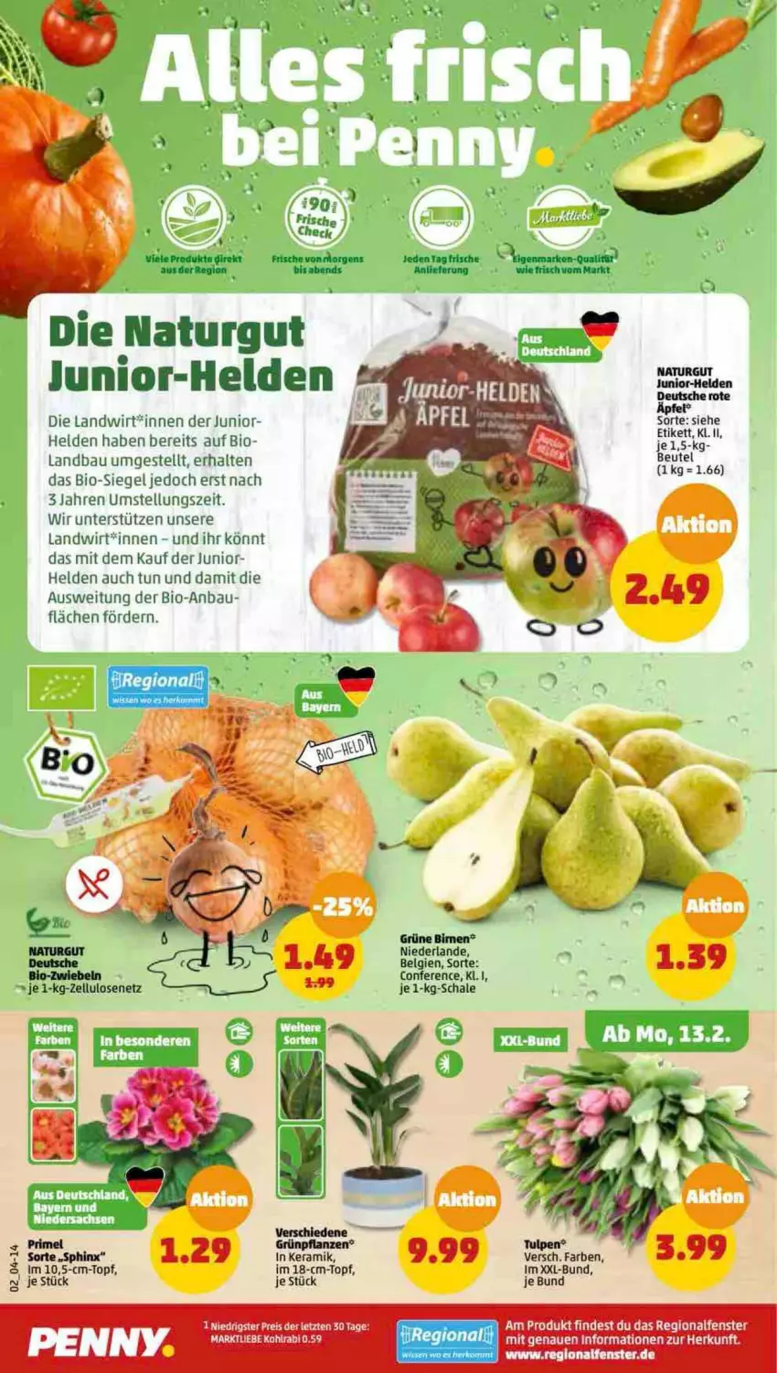 Aktueller Prospekt Penny - Prospekte - von 13.02 bis 18.02.2023 - strona 2 - produkty: Bau, bio, fenster, natur, Schal, Schale, tee, topf