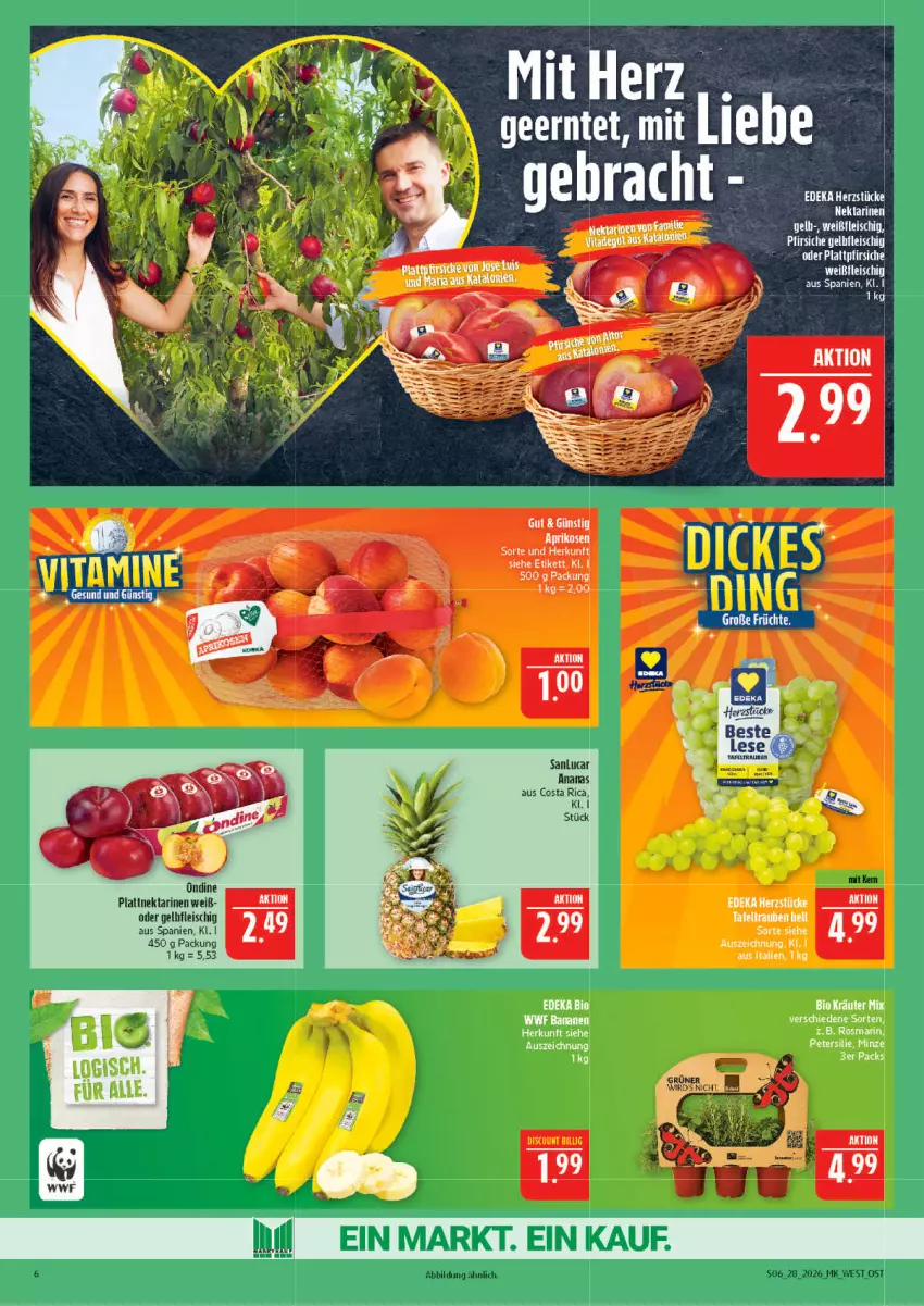 Aktueller Prospekt Marktkauf - Prospekt - von 05.07 bis 11.07.2026 - strona 6 - produkty: ananas, aprikose, aprikosen, eis, fleisch, Nektar, nektarinen, Ti