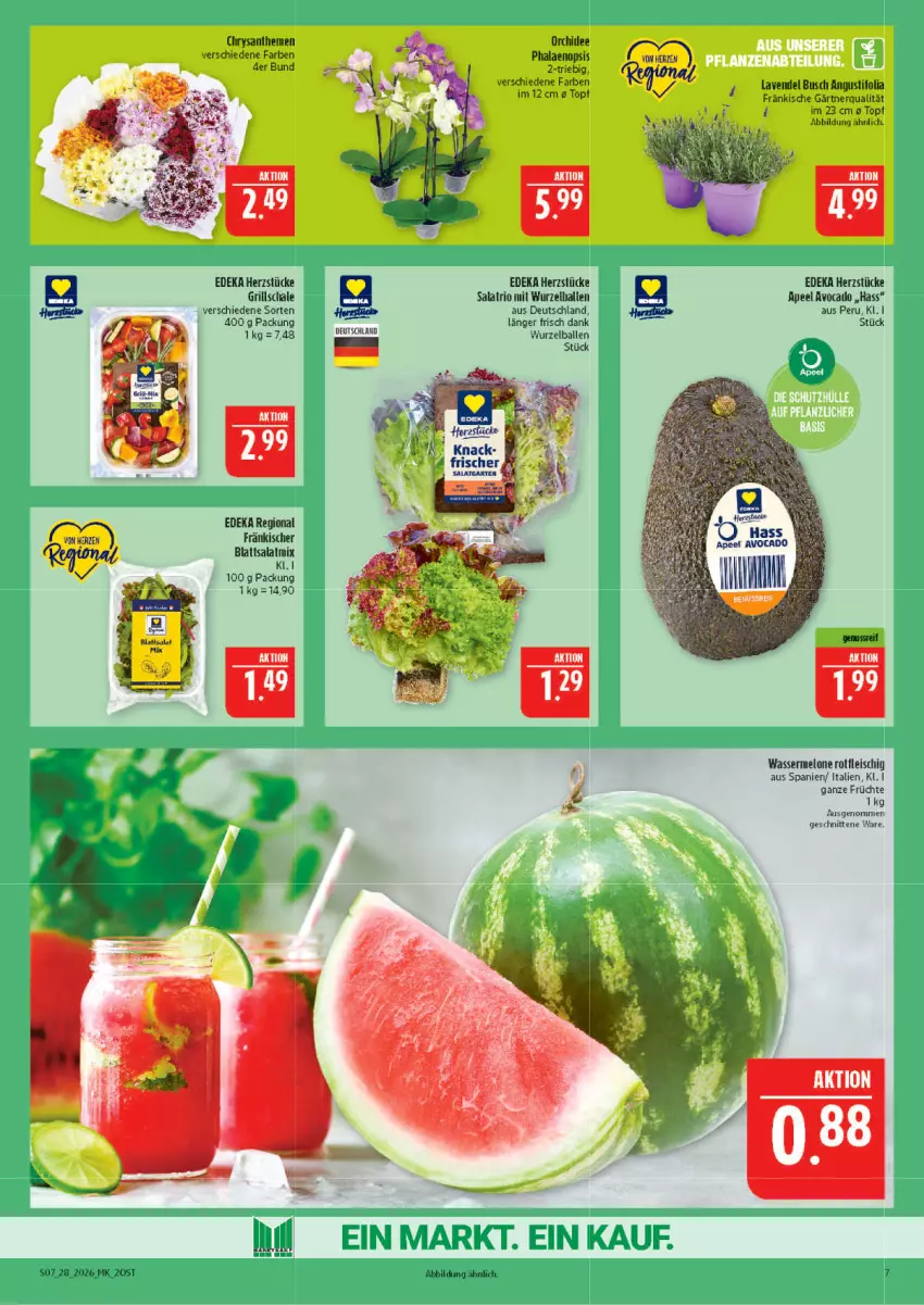 Aktueller Prospekt Marktkauf - Prospekt - von 05.07 bis 11.07.2026 - strona 7 - produkty: avocado, ball, chrysanthemen, deka, eis, fleisch, früchte, grill, lavendel, melone, orchidee, phalaenopsis, salat, Salatmix, Schal, Schale, schnitten, Ti, topf, wasser, wassermelone