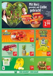 Gazetka promocyjna Marktkauf - Prospekt - Gazetka - ważna od 11.07 do 11.07.2026 - strona 6 - produkty: ananas, aprikose, aprikosen, eis, fleisch, Nektar, nektarinen, Ti