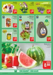 Gazetka promocyjna Marktkauf - Prospekt - Gazetka - ważna od 11.07 do 11.07.2026 - strona 7 - produkty: avocado, ball, chrysanthemen, deka, eis, fleisch, früchte, grill, lavendel, melone, orchidee, phalaenopsis, salat, Salatmix, Schal, Schale, schnitten, Ti, topf, wasser, wassermelone